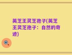 英芝王灵芝孢子(英芝王灵芝孢子：自然的奇迹)