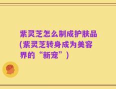 紫灵芝怎么制成护肤品(紫灵芝转身成为美容界的“新宠”)