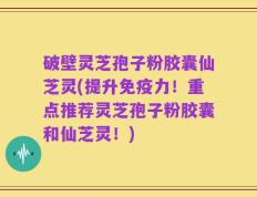 破壁灵芝孢子粉胶囊仙芝灵(提升免疫力！重点推荐灵芝孢子粉胶囊和仙芝灵！)