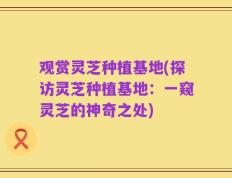 观赏灵芝种植基地(探访灵芝种植基地：一窥灵芝的神奇之处)