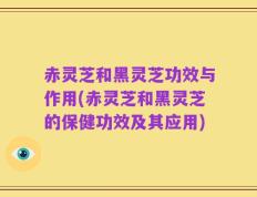 赤灵芝和黑灵芝功效与作用(赤灵芝和黑灵芝的保健功效及其应用)