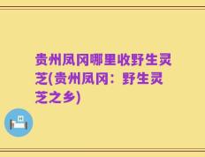 贵州凤冈哪里收野生灵芝(贵州凤冈：野生灵芝之乡)