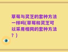 草莓与灵芝的套种方法一样吗(草莓和灵芝可以采用相同的套种方法？)