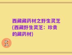 西藏藏药材之野生灵芝(西藏野生灵芝：珍贵的藏药材)