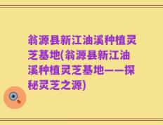 翁源县新江油溪种植灵芝基地(翁源县新江油溪种植灵芝基地——探秘灵芝之源)