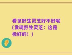 看见野生灵芝好不好呢(发现野生灵芝：这是极好的！)