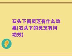 石头下面灵芝有什么效果(石头下的灵芝有何功效)