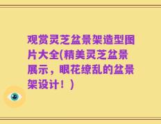 观赏灵芝盆景架造型图片大全(精美灵芝盆景展示，眼花缭乱的盆景架设计！)