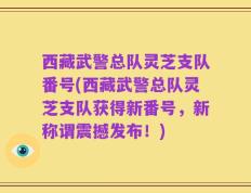 西藏武警总队灵芝支队番号(西藏武警总队灵芝支队获得新番号，新称谓震撼发布！)