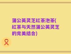 蒲公英灵芝红茶泡茶(红茶与天然蒲公英灵芝的完美结合)
