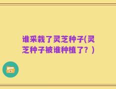 谁采栽了灵芝种子(灵芝种子被谁种植了？)