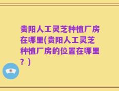 贵阳人工灵芝种植厂房在哪里(贵阳人工灵芝种植厂房的位置在哪里？)