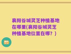 襄阳谷城灵芝种植基地在哪里(襄阳谷城灵芝种植基地位置在哪？)