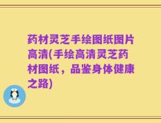 药材灵芝手绘图纸图片高清(手绘高清灵芝药材图纸，品鉴身体健康之路)