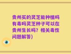 贵州买的灵芝能种植吗有毒吗灵芝种子可以在贵州生长吗？相关毒性问题解答)