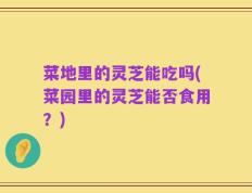 菜地里的灵芝能吃吗(菜园里的灵芝能否食用？)