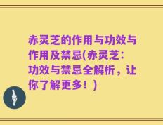 赤灵芝的作用与功效与作用及禁忌(赤灵芝：功效与禁忌全解析，让你了解更多！)