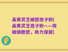桑黄灵芝破壁孢子粉(桑黄灵芝孢子粉——突破细胞壁，助力保健)