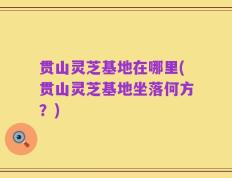 贯山灵芝基地在哪里(贯山灵芝基地坐落何方？)