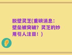 脱壁灵芝(重磅消息：壁垒被突破？灵芝的妙用引人注目！)