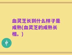 血灵芝长到什么样子是成熟(血灵芝的成熟长相。)