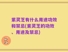紫灵芝有什么用途功效和禁忌(紫灵芝的功效、用途及禁忌)