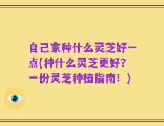 自己家种什么灵芝好一点(种什么灵芝更好？一份灵芝种植指南！)