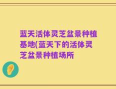 蓝天活体灵芝盆景种植基地(蓝天下的活体灵芝盆景种植场所