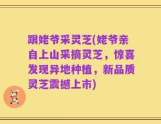 跟姥爷采灵芝(姥爷亲自上山采摘灵芝，惊喜发现异地种植，新品质灵芝震撼上市)