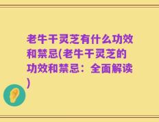 老牛干灵芝有什么功效和禁忌(老牛干灵芝的功效和禁忌：全面解读)