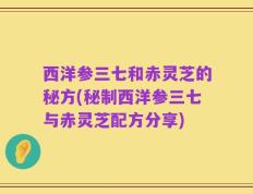 西洋参三七和赤灵芝的秘方(秘制西洋参三七与赤灵芝配方分享)