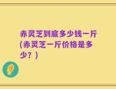 赤灵芝到底多少钱一斤(赤灵芝一斤价格是多少？)