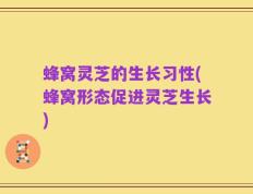 蜂窝灵芝的生长习性(蜂窝形态促进灵芝生长)