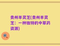 贵州羊灵芝(贵州羊灵芝：一种独特的中草药资源)