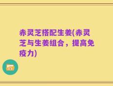 赤灵芝搭配生姜(赤灵芝与生姜组合，提高免疫力)