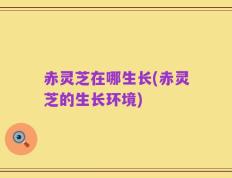 赤灵芝在哪生长(赤灵芝的生长环境)