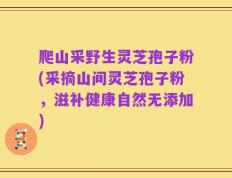 爬山采野生灵芝孢子粉(采摘山间灵芝孢子粉，滋补健康自然无添加)