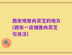 西安观察肉灵芝的地方(西安一店铺售肉灵芝引关注)