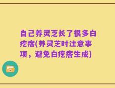 自己养灵芝长了很多白疙瘩(养灵芝时注意事项，避免白疙瘩生成)