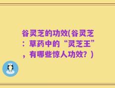 谷灵芝的功效(谷灵芝：草药中的“灵芝王”，有哪些惊人功效？)