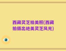 西藏灵芝拍美照(西藏拍摄出绝美灵芝风光)
