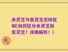 赤灵芝与紫灵芝怎样区别(如何区分赤灵芝和紫灵芝？详细解析！)