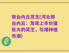邢台内丘灵芝(河北邢台内丘：发现上市价值巨大的灵芝，引爆种植热潮)