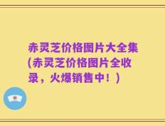 赤灵芝价格图片大全集(赤灵芝价格图片全收录，火爆销售中！)