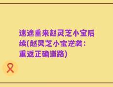 迷途重来赵灵芝小宝后续(赵灵芝小宝逆袭：重返正确道路)