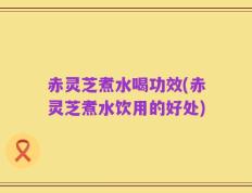 赤灵芝煮水喝功效(赤灵芝煮水饮用的好处)