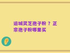 运城灵芝孢子粉 ？正宗孢子粉哪里买