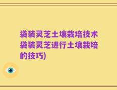 袋装灵芝土壤栽培技术袋装灵芝进行土壤栽培的技巧)