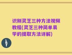 识别灵芝三种方法视频教程(灵芝三种简单易学的提取方法详解)