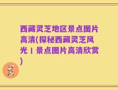 西藏灵芝地区景点图片高清(探秘西藏灵芝风光丨景点图片高清欣赏)